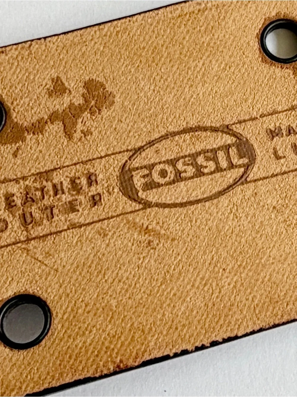 Fossil Dark Brown Belt with Grommets